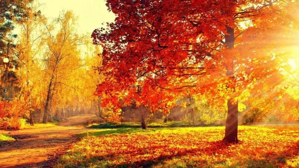 Vraća se sunce i toplo vrijeme, temperature do 25 stepeni