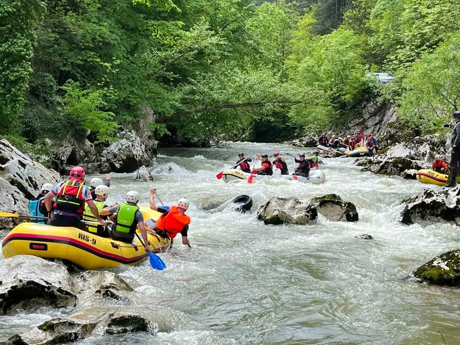 Počinje istraživanje biodiverziteta Krivaje, budućeg nacionalnog parka