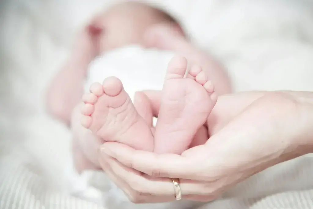 Zenica: 12 beba u jednom danu – Baby boom unosi optimizam u grad