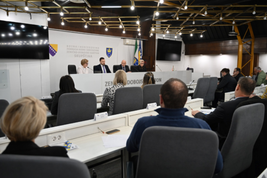 ZDK jača institucionalni odgovor na nasilje u porodici i nasilje nad ženama i djecom